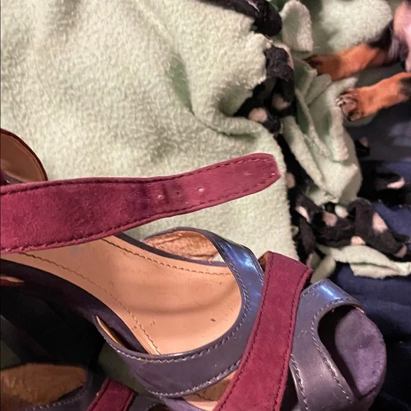 Report Burgundy and Purple Platform Heels - Picture 3 of 4